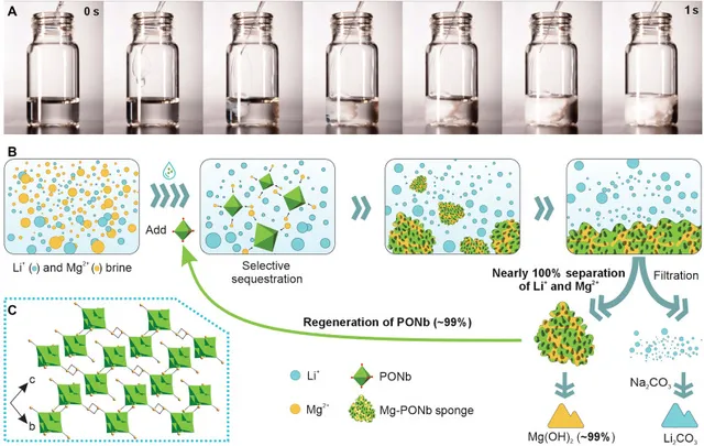 Photographs and structural schematic of a reusable polyoxoniobate sponge selectively capturing magnesium from lithium-containing brine.