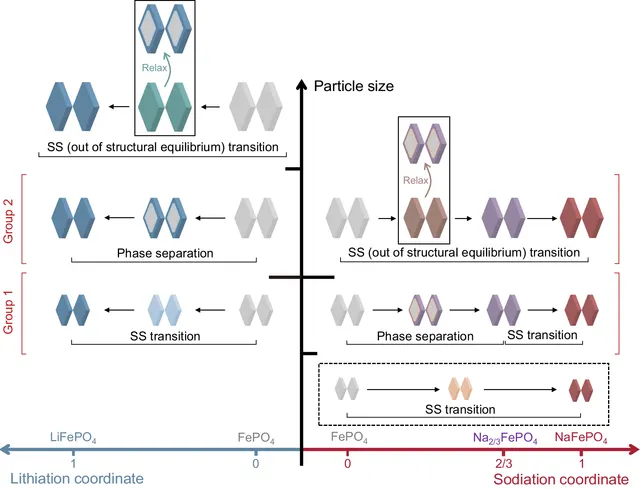 Diagram comparing lithium and sodium insertion phase transitions in iron phosphate particles of different sizes.